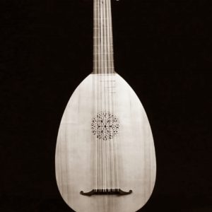 renaissance lute n